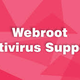 Illustration for article titled What is www.webroot.com/safe ?